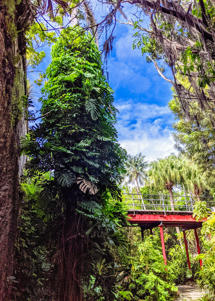 Cover image 6